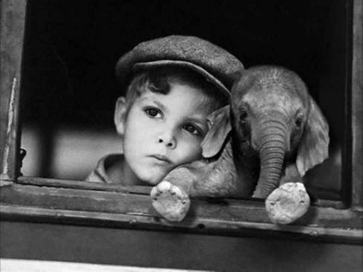 /blog/images/Boy-elephant