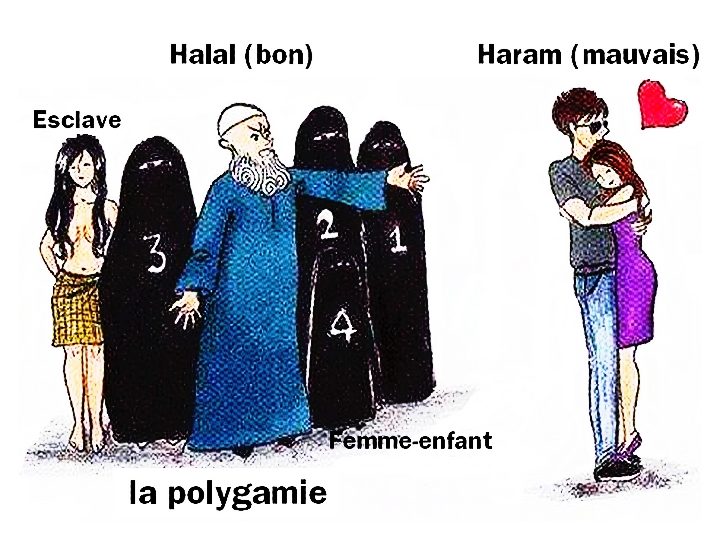 /blog/images/Halal-haram